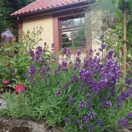 Appartamento Pod Gora Turma