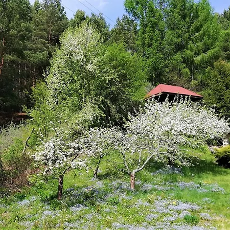 Pod Górą Turma Apartament *
