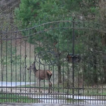 Pod Gora Turma Appartamento *